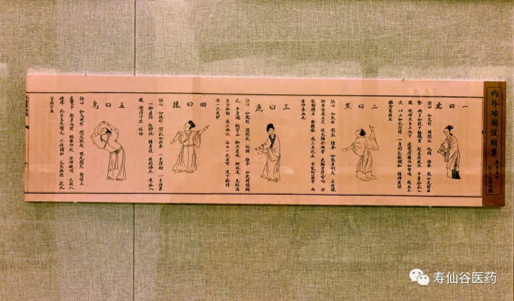 浙江壽仙谷醫(yī)藥股份有限公司