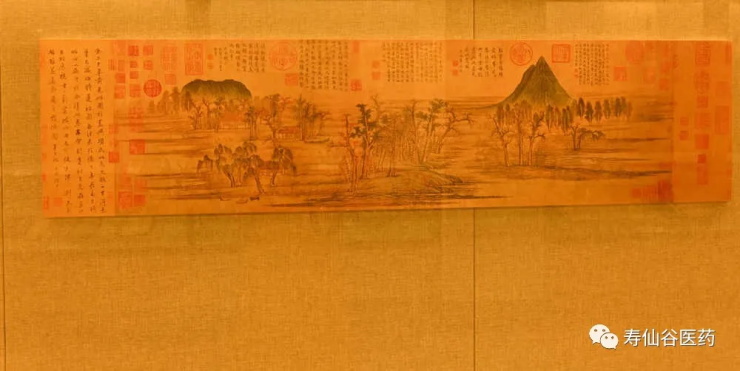 浙江壽仙谷醫(yī)藥股份有限公司