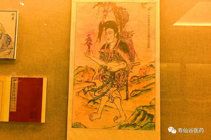 浙江壽仙谷醫(yī)藥股份有限公司