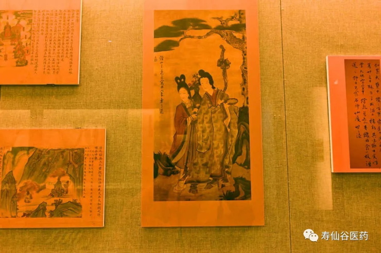 浙江壽仙谷醫(yī)藥股份有限公司