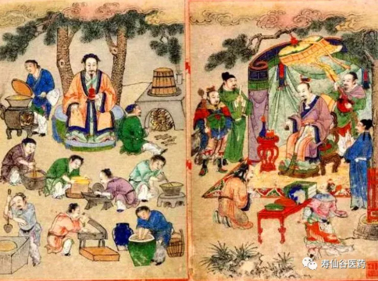 浙江壽仙谷醫(yī)藥股份有限公司