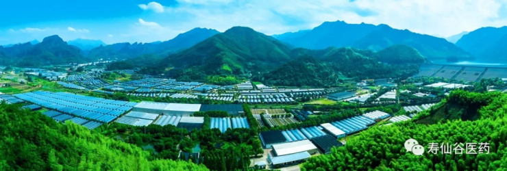浙江壽仙谷醫(yī)藥股份有限公司